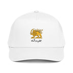 Javid shah cap, lion and sun