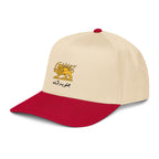 Javid shah cap, lion and sun