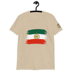 Arms of dominion of the Shah