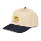 Javid shah cap, lion and sun