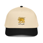 Javid shah cap, lion and sun