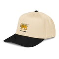 Javid shah cap, lion and sun